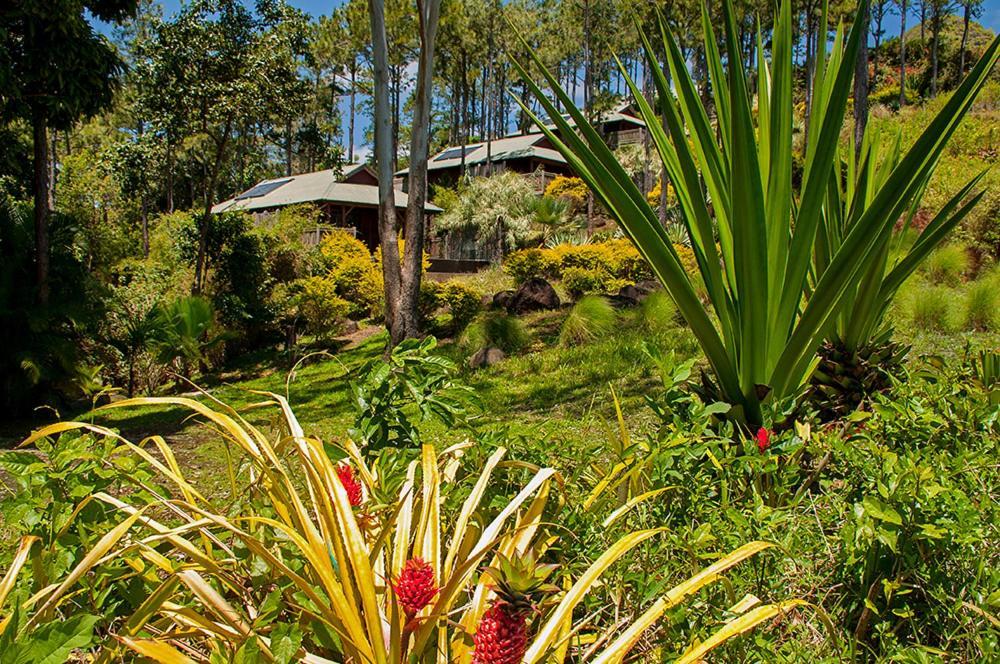 Lakaz Chamarel Exclusive Lodge Exterior photo