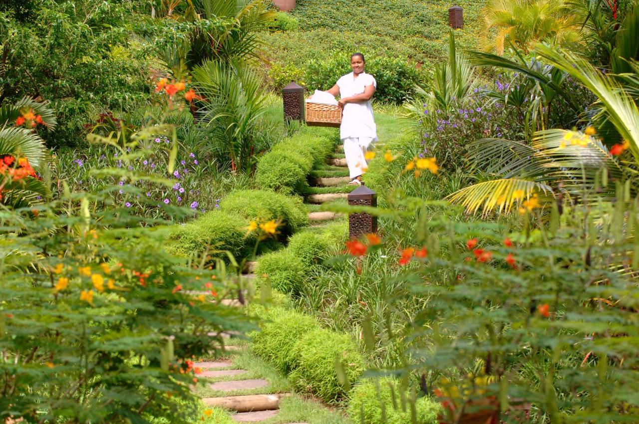 Lakaz Chamarel Exclusive Lodge Exterior photo